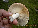 camera 055